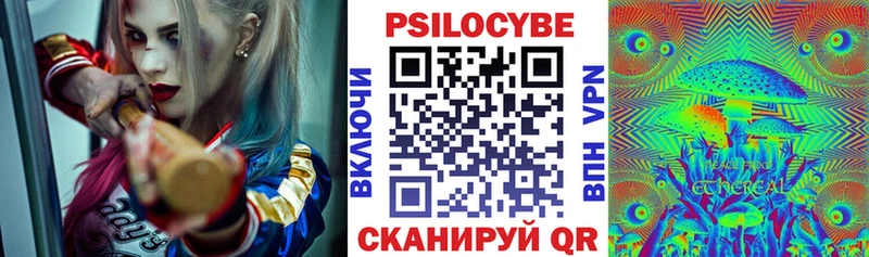 Псилоцибиновые грибы мухоморы где продают наркотики kraken ссылки Ессентуки