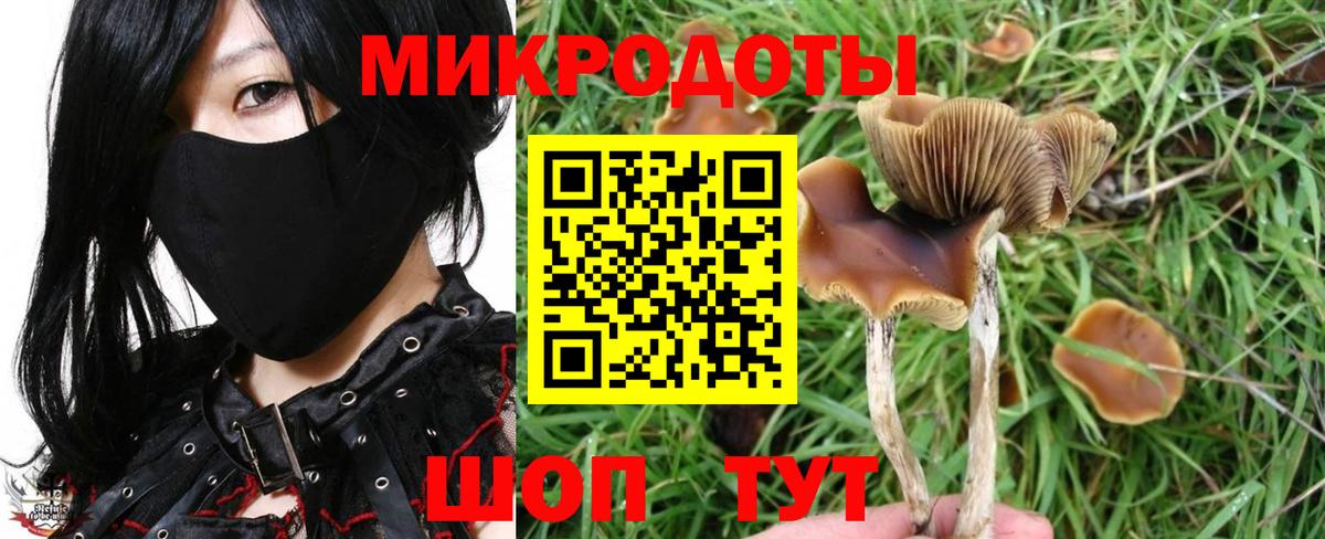 Ессентуки  Псилоцибиновые грибы Magic Shrooms  Псилоцибиновые грибы мицелий  Вход с VPN 