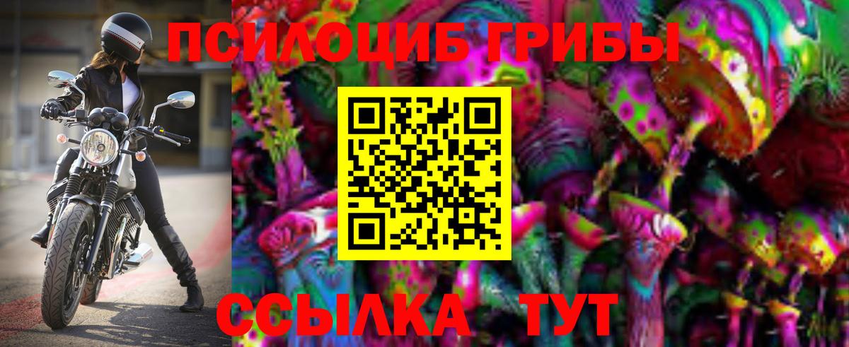 Галлюциногенные грибы мухоморы Ессентуки
