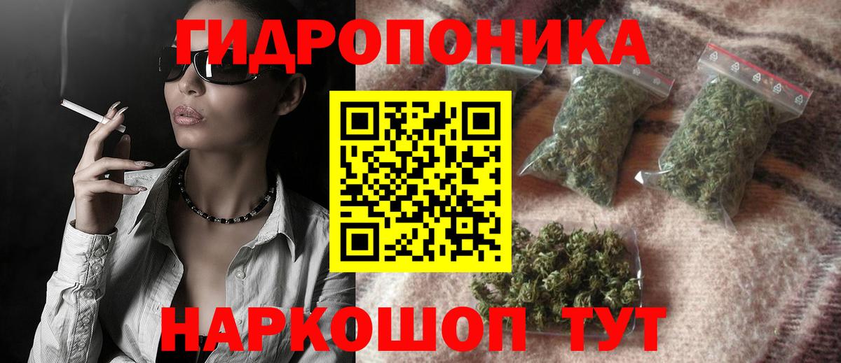 Каннабис индика  Вход с VPN  Ессентуки  Бошки марихуана марихуана  Бошки марихуана конопля 